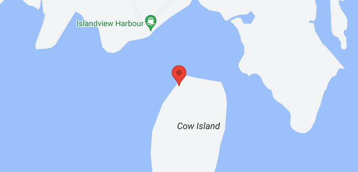 map of N/A COW ISLAND  #LT 12